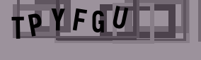 voipbusiphone.com code