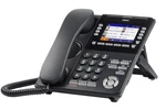 Dt920 Ip Self-labeling Color Phone Bk. Fixed Price $287.26.