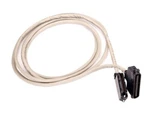 Digium Amphenol Cable. Fixed Price $35.00.